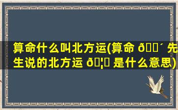 算命什么叫北方运(算命 🌴 先生说的北方运 🦄 是什么意思)